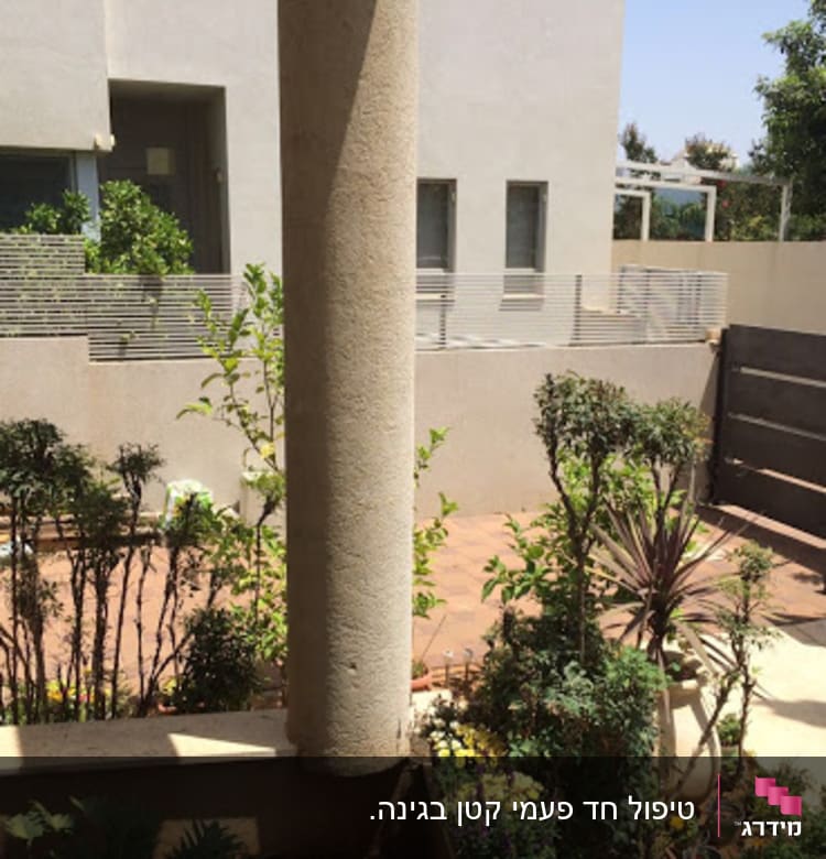 גינה עם שיחים, עציצים ופרחים צבעוניים